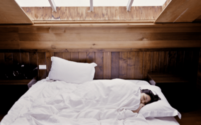 Søvn og søvnløshed