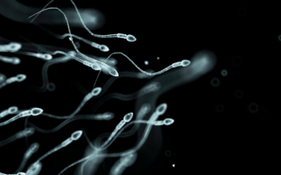 mandlig infertilitet – årsager og behandling