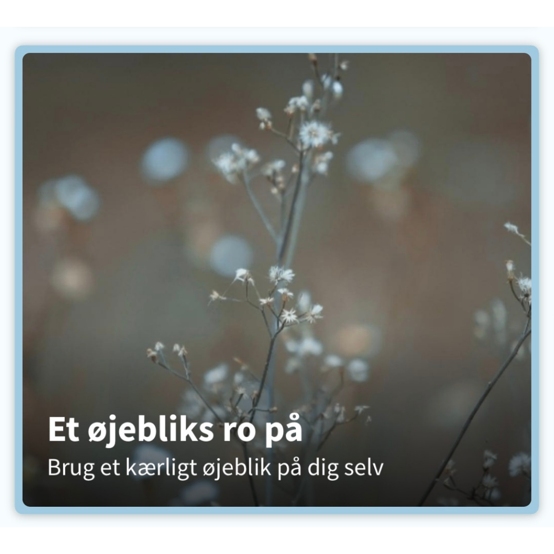Et øjebliks ro på