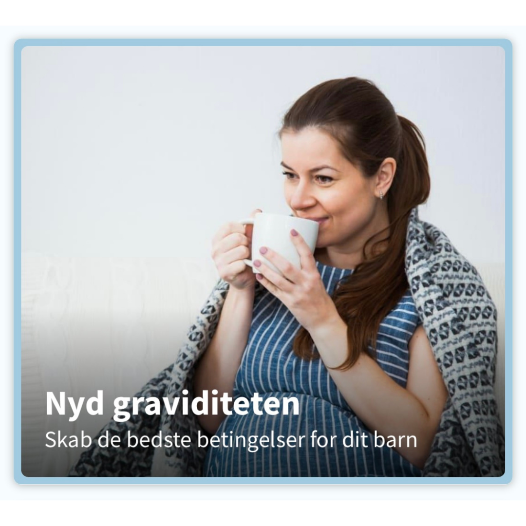 Nyd graviditeten